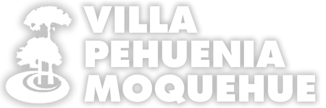 Villa Pehuenia Moquehue | Neuquén