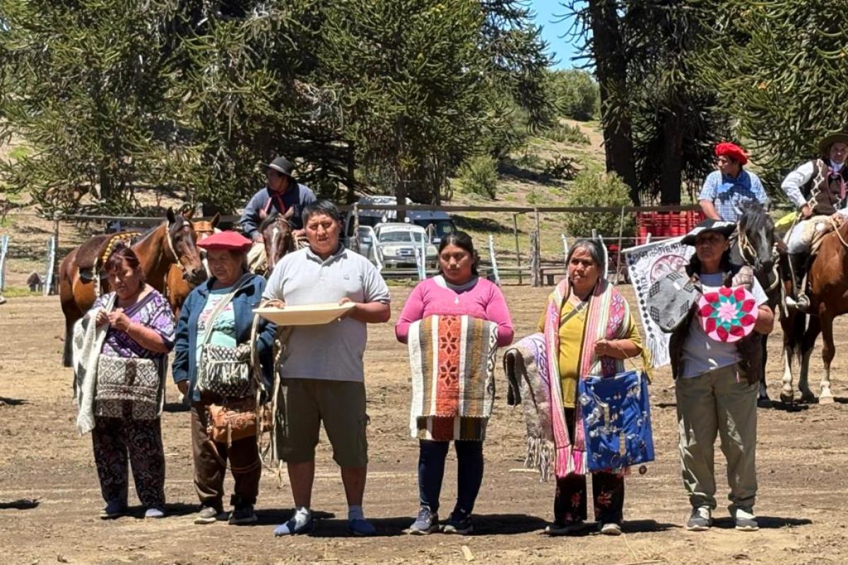 fiesta-pinonero-artesano-mapuche-ene25-