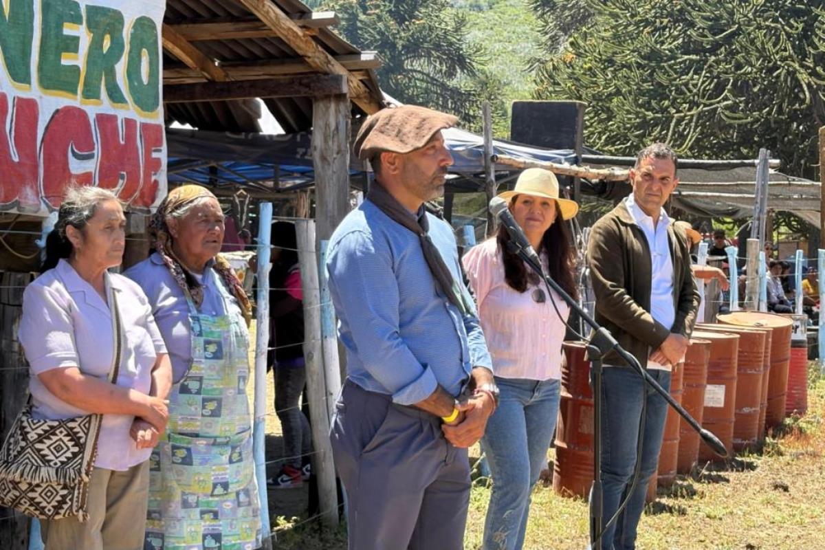 fiesta-pinonero-artesano-mapuche-ene25-