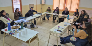 SE REALIZÓ LA PRIMERA SESIÓN ANUAL DEL CONSEJO LOCAL DE DISCAPACIDAD EN VILLA PEHUENIA MOQUEHUE