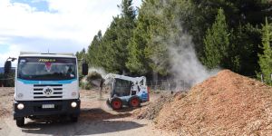 Relleno con chips del raleo y limpieza de ruta: Arturo de Gregorio y los chicos del Centro Rural Evangélico cerraron el círculo en Villa Pehuenia Moquehue