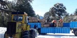 Villa Pehuenia Moquehue eliminó 4.000 kilos de Residuos Reciclables