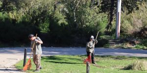 Las Lagunas respiran mejor: terminó la jornada de raleo de pinos en Villa Pehuenia Moquehue