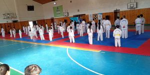 La Escuela Municipal de Taekwondo de Moquehue participó del 1er Campus Deportivo en Aluminé: entrenamiento, intercambio y compañerismo